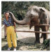 ELEPHANT JUNGLE SANCTUARY Overnight (Include Transportation) 1 Night Stay.